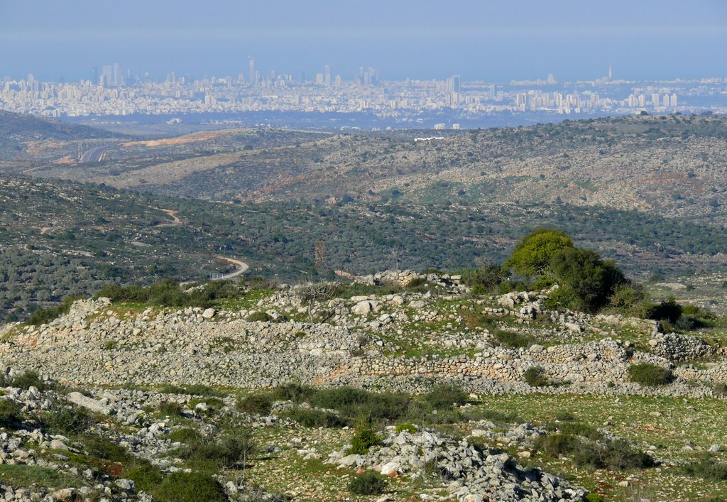 Ramat Gan and Tel Aviv from a top of Ariel