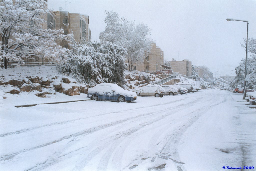 Snow in Ariel (28-Jan-2000) #1