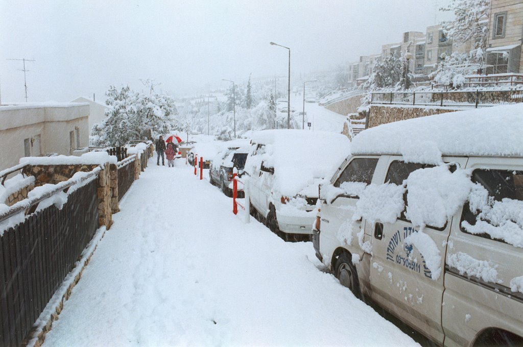 Snow in Ariel (28-Jan-2000) #2