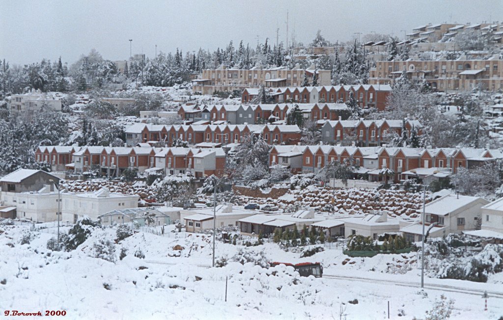 Az Zaytūnīyah