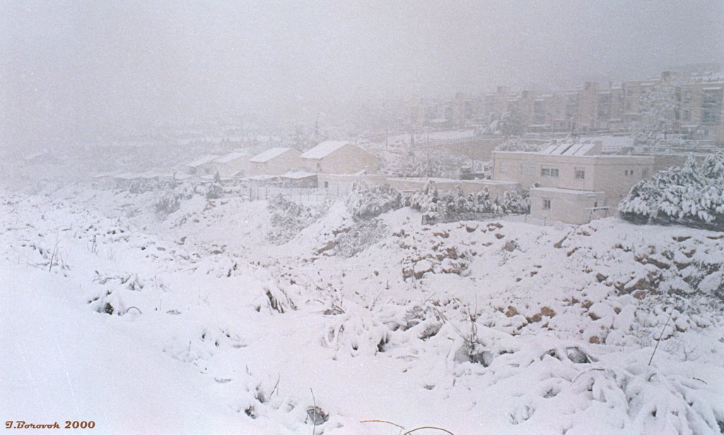 Snow in Ariel (28-Jan-2000) #4