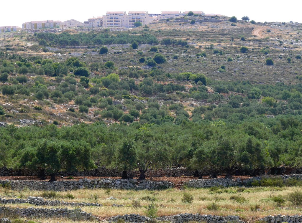 A south-west slope of Ariel, Samaria