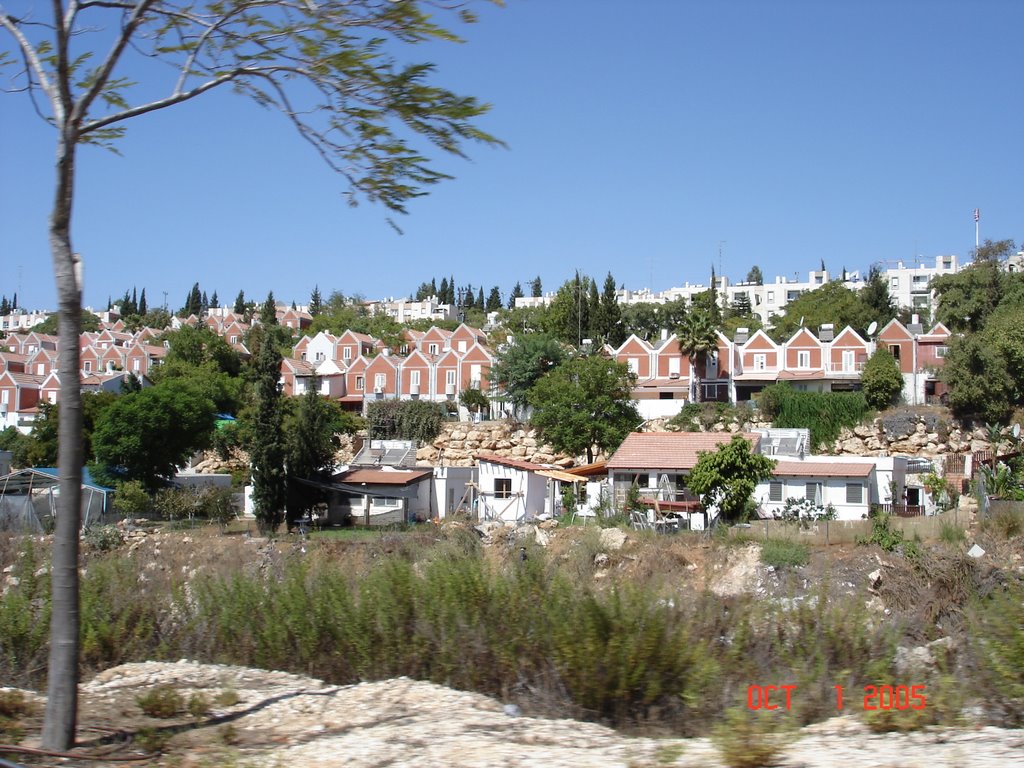 Ariel - View From The Road