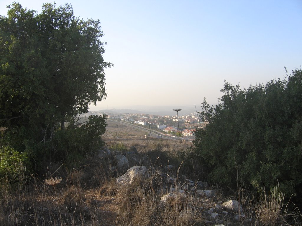 From the Hill upon Ariel