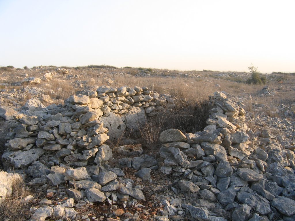 Ruins of "shomra"