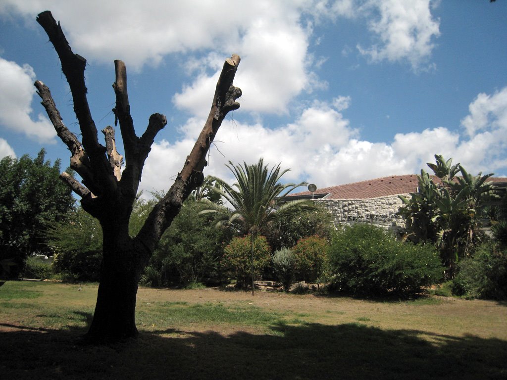 Kfar Hanoar Mosinzon view