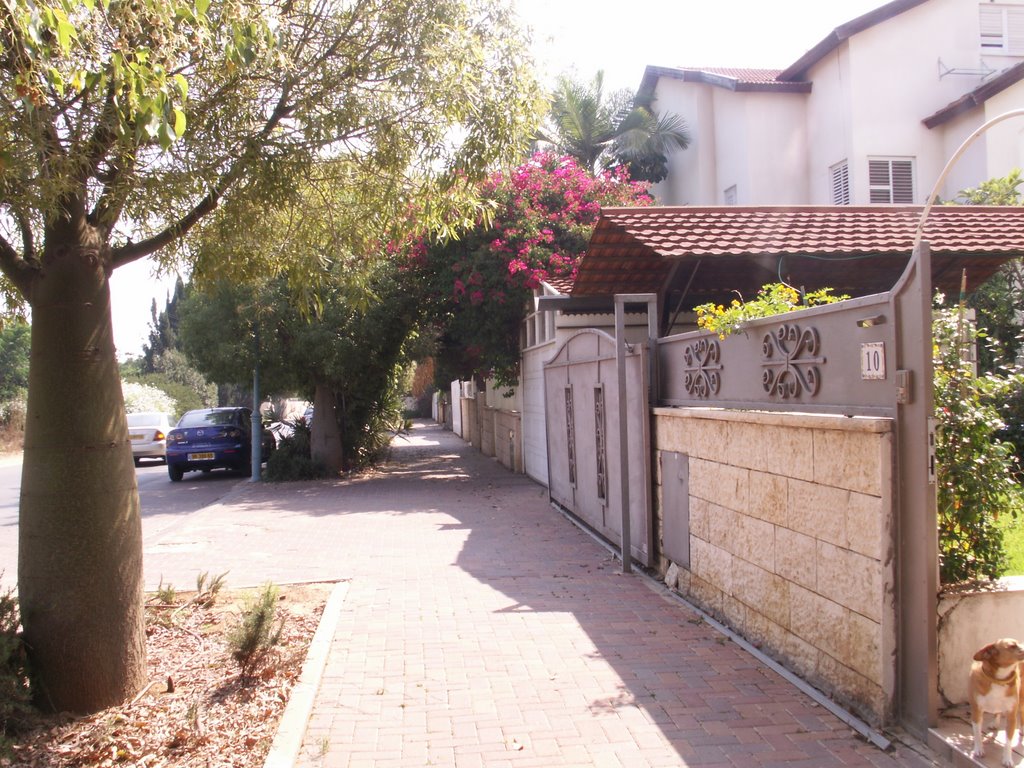 Hamekasher St.