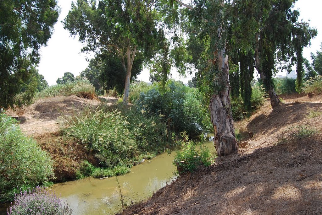 naftuley ha yarkon