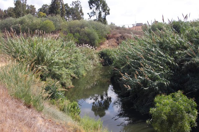 שביל ישראל מת"א למקורות הירקון P131