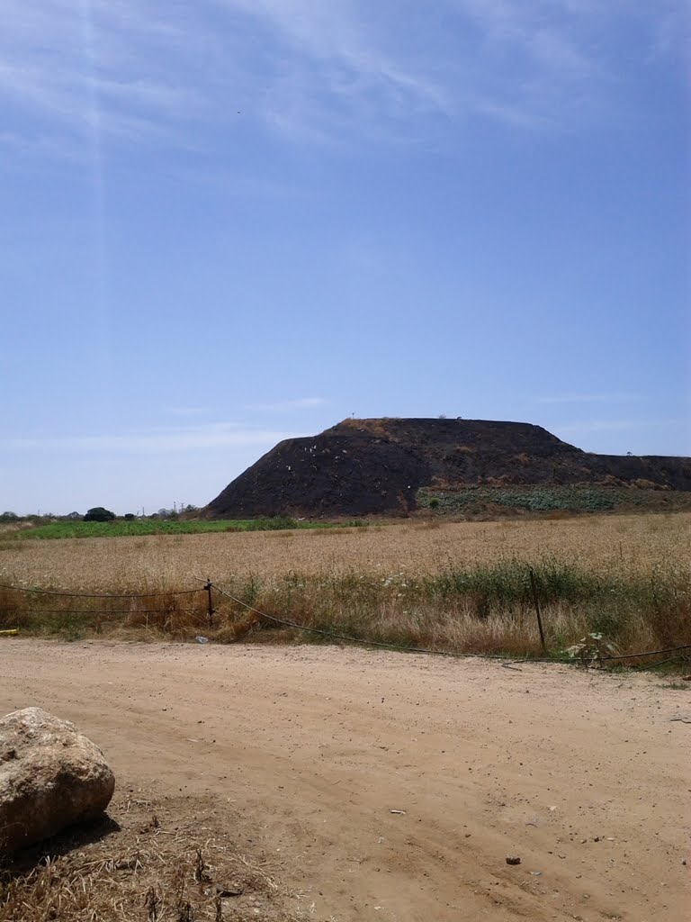 חיריה מהוד השרון