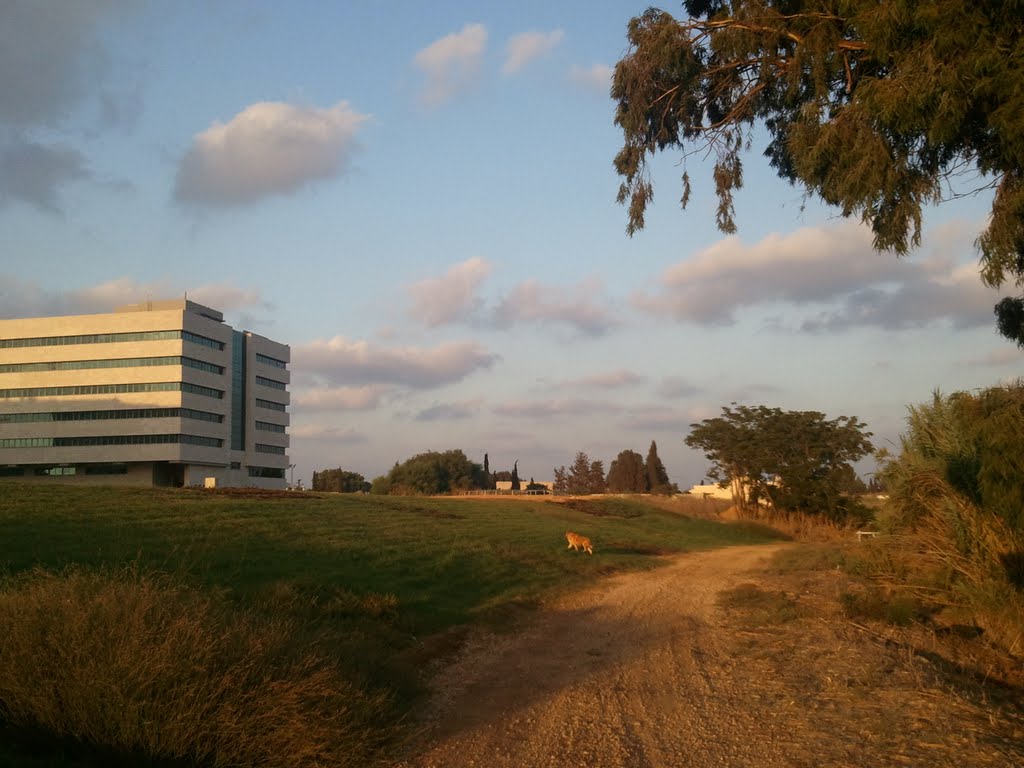 Neve Neeman Industrial Zone