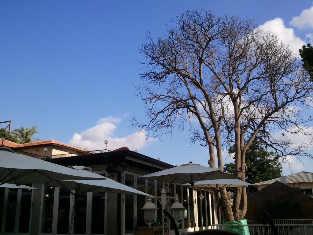 Cafe Lavender, Hod Hasharon