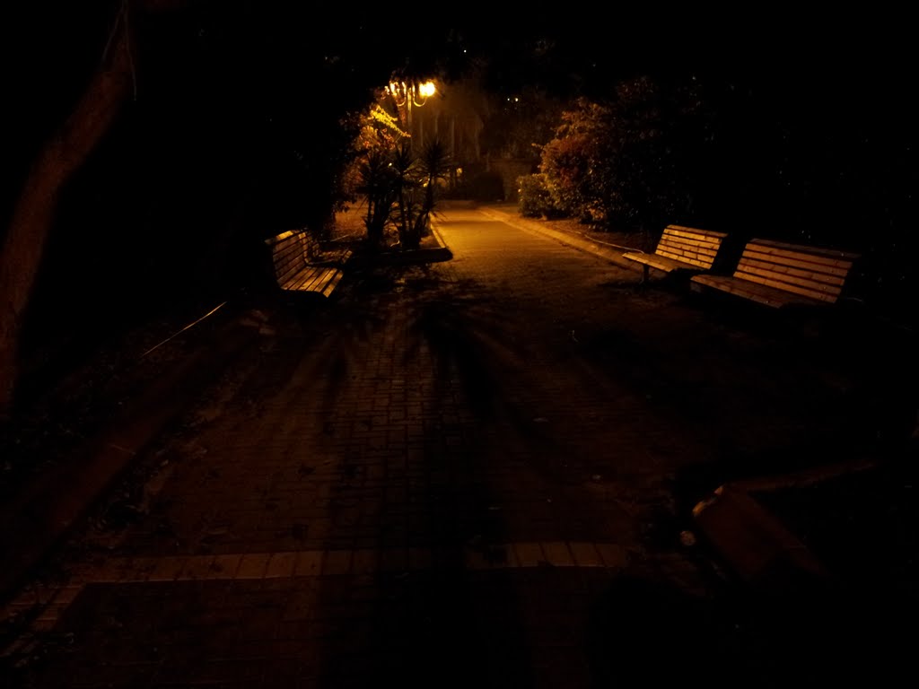 Park at night