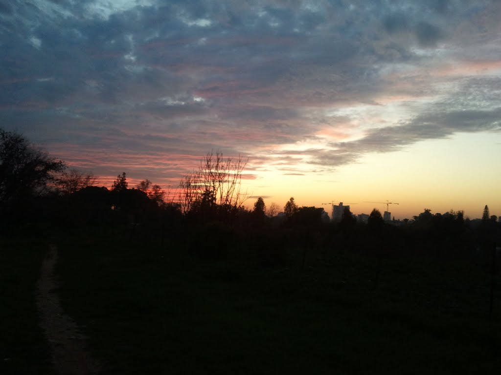 winter evening