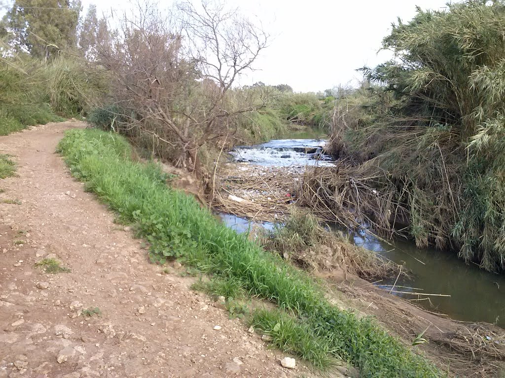 רוכב ישראל- הירקון לאחר שיטפון