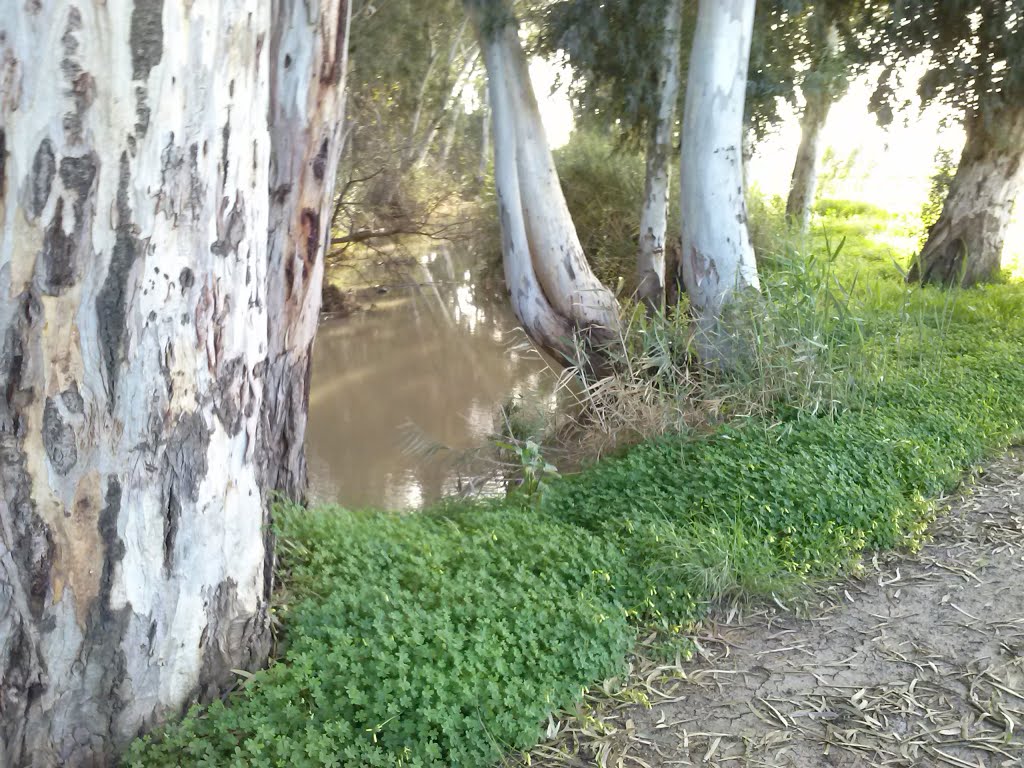 רוכב ישראל- לאורך הירקון לכיוון הים