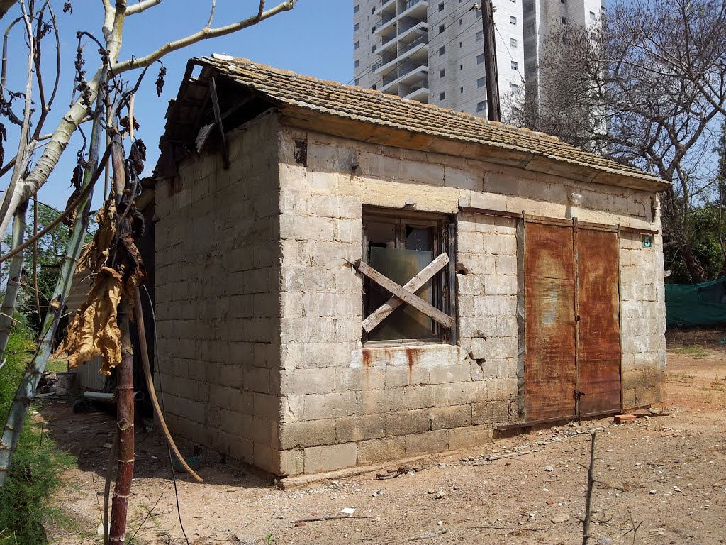 Abandoned House