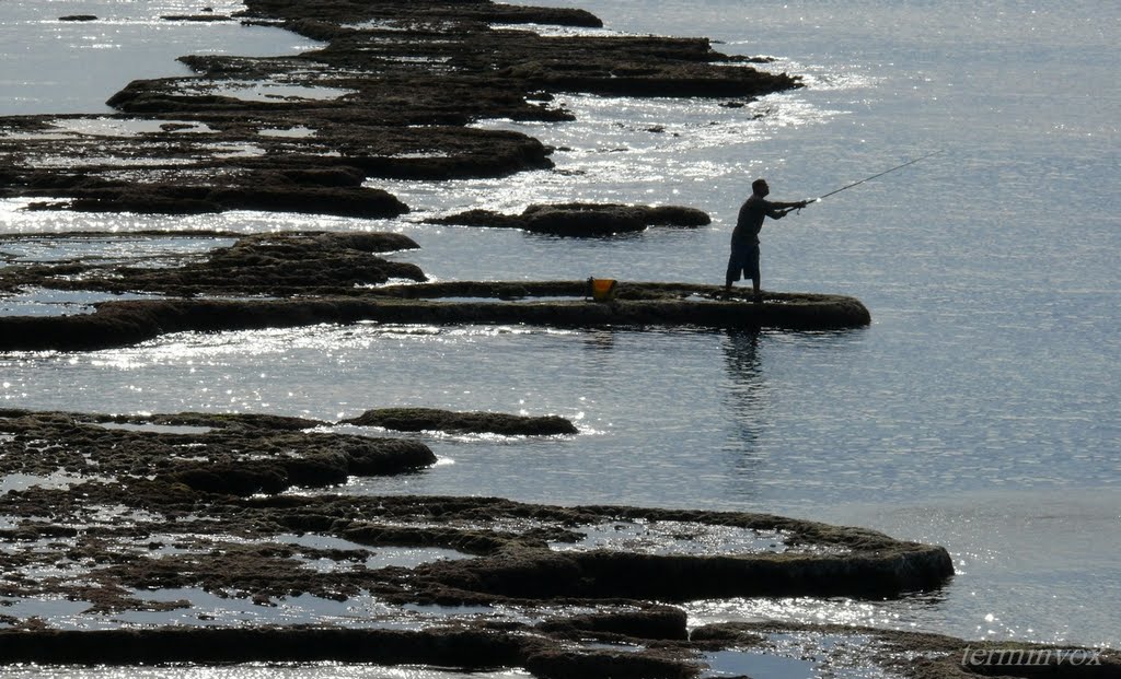 Fishing in Akko