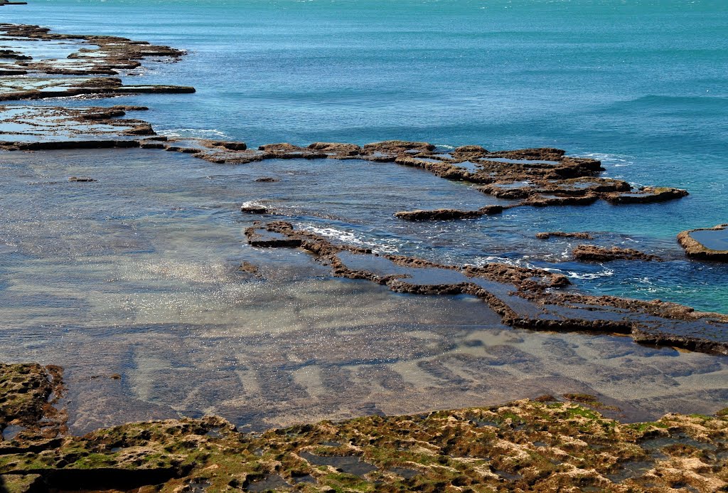 The coastal relief ...