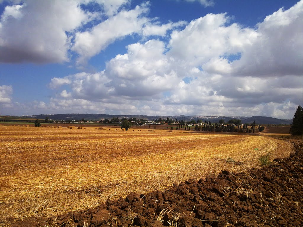 מושב בלפוריה באופק