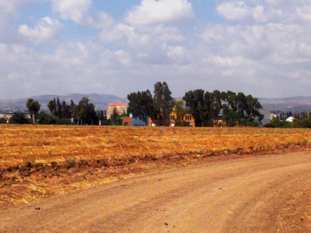 Kafr Dān