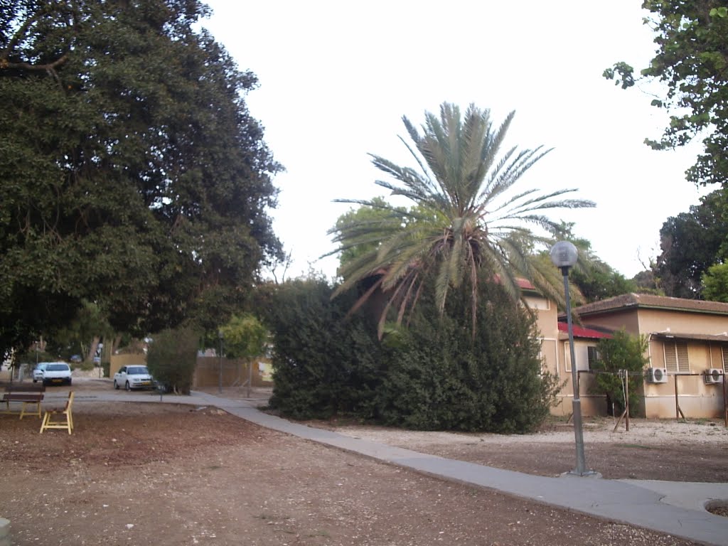 Merhavia Kibbuts מרחביה קיבוצ 2011