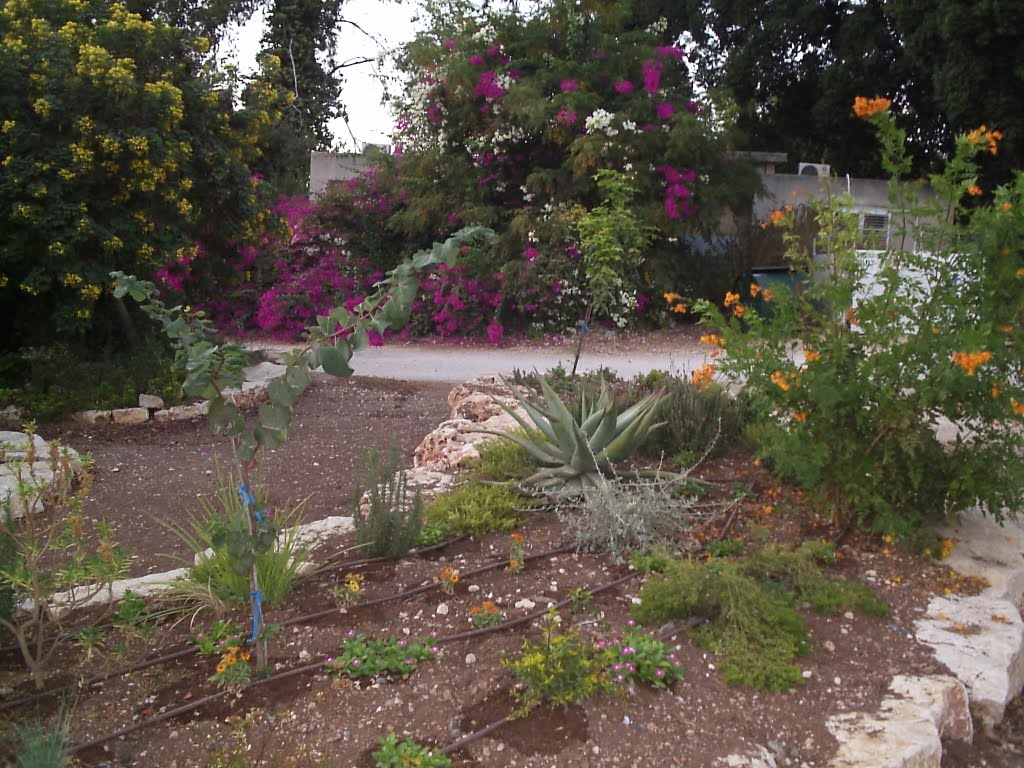 Merhavia Kibbuts מרחביה קיבוצ 2011