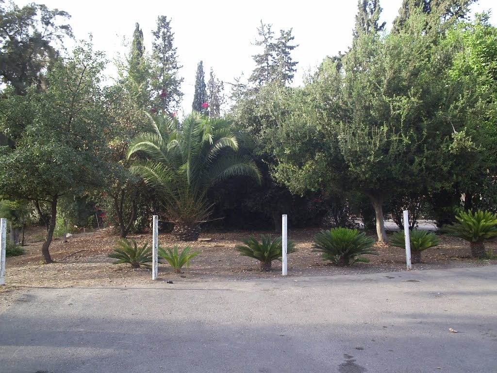 Merhavia Kibbuts מרחביה קיבוצ 2011