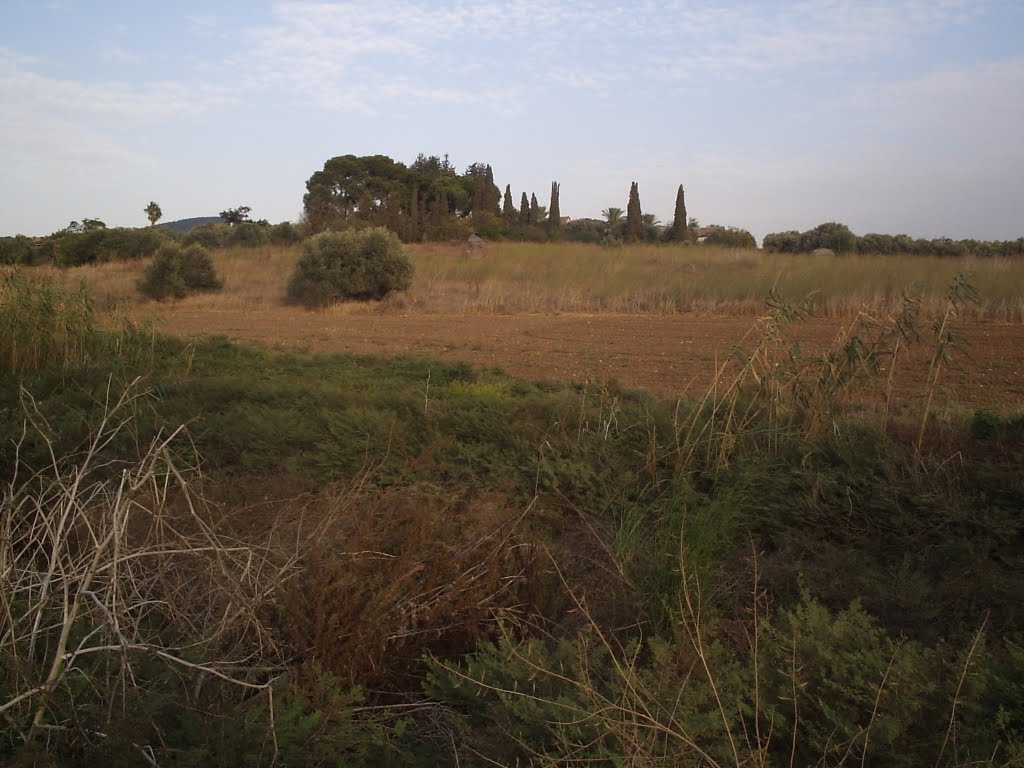 Merhavia Kibbuts מרחביה קיבוצ 2011