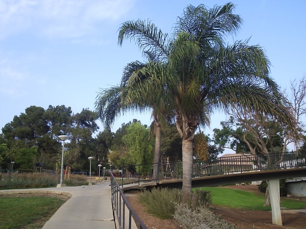 Merhavia Kibbuts מרחביה קיבוצ 2011