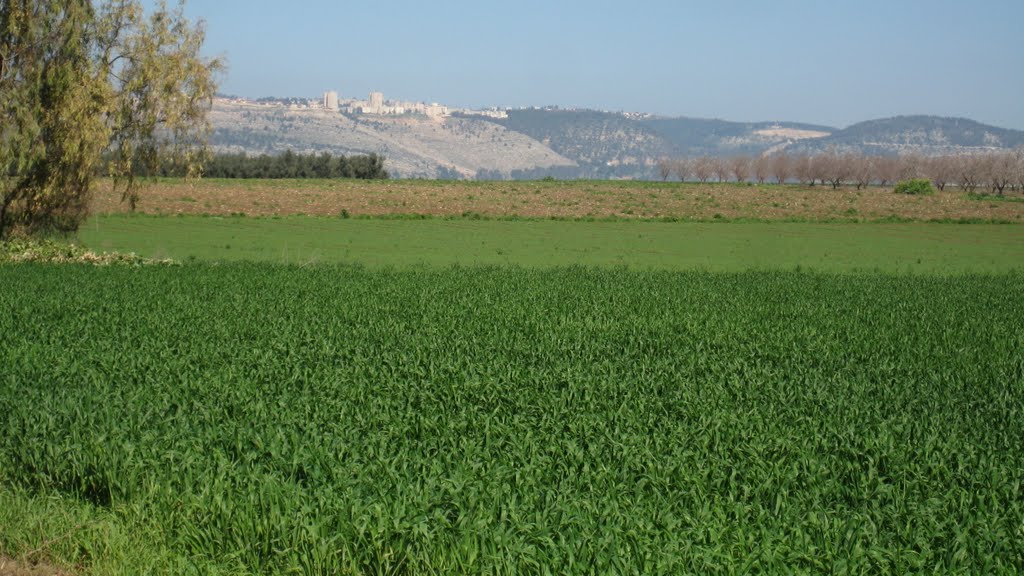 נצרת עילית משדות בלפוריה