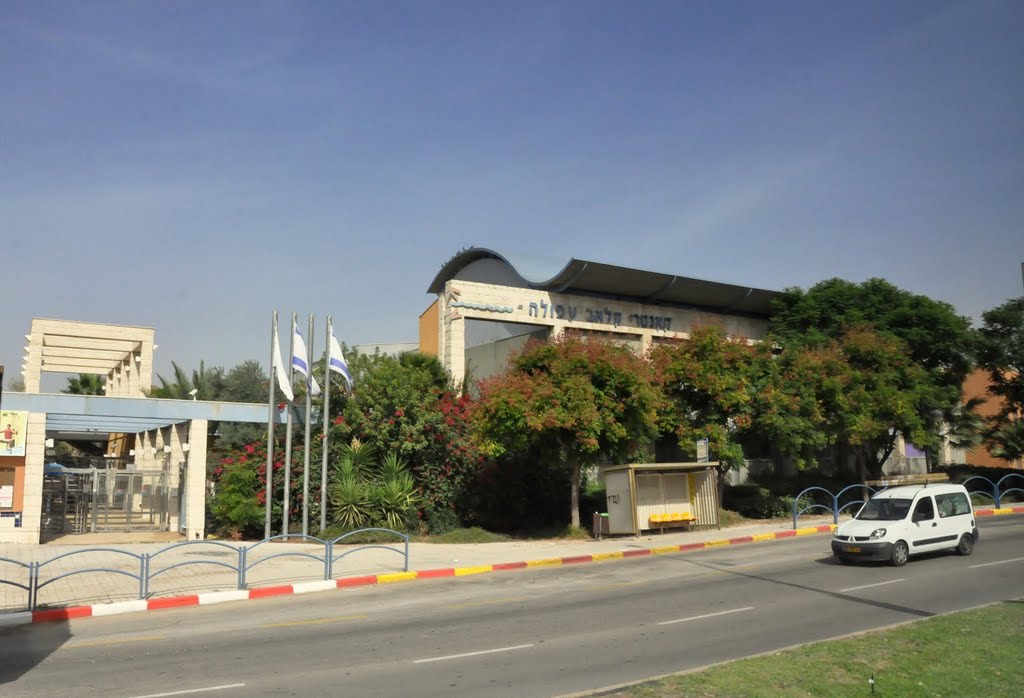 În Afula