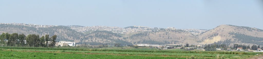in the fields Balfouria and Tel lentils       , Israel