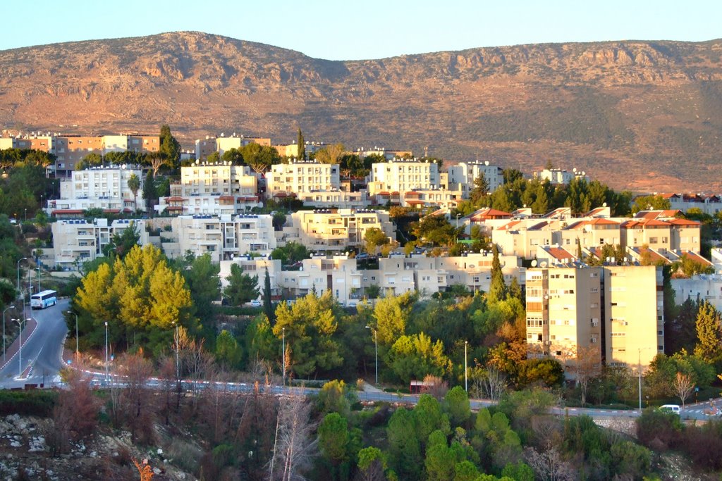A view from the park