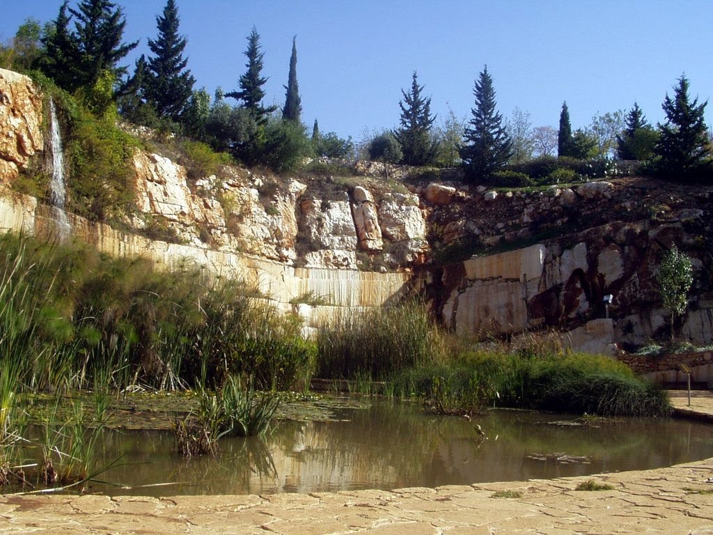 In the HaGalil Park