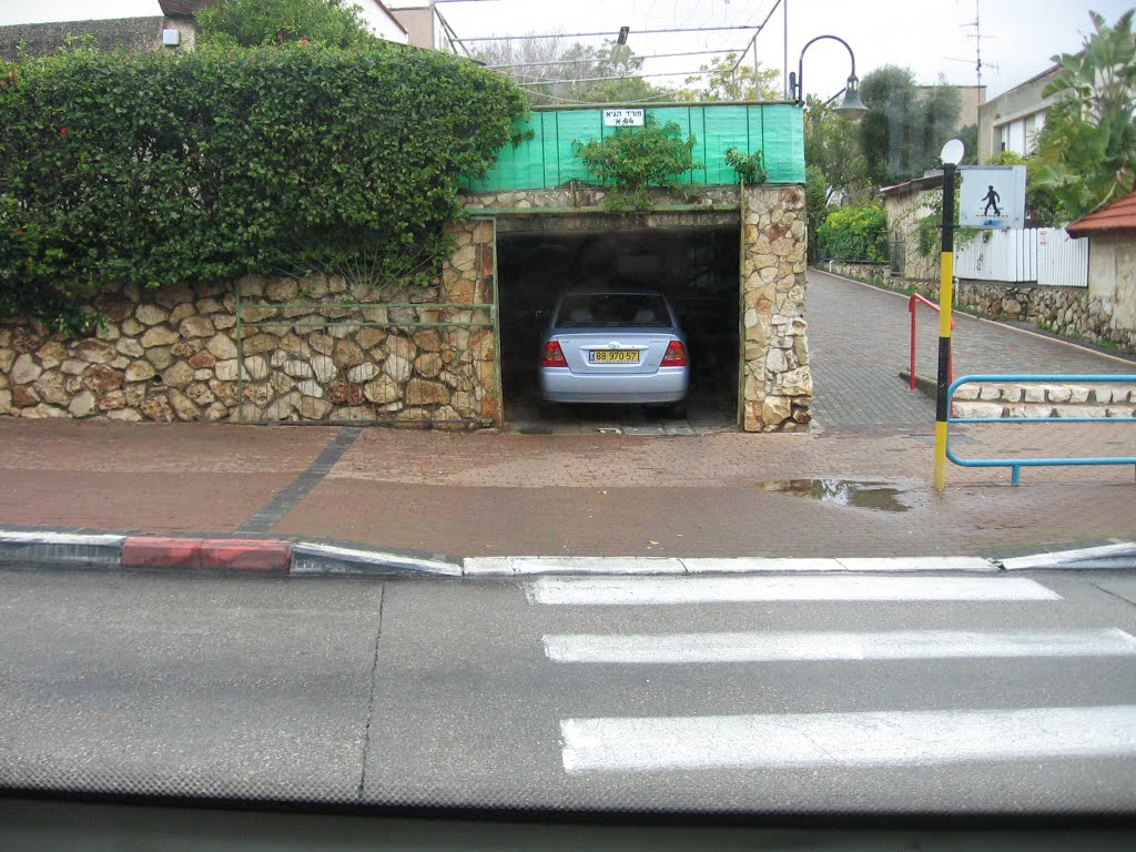 מול בית ספר פרחים