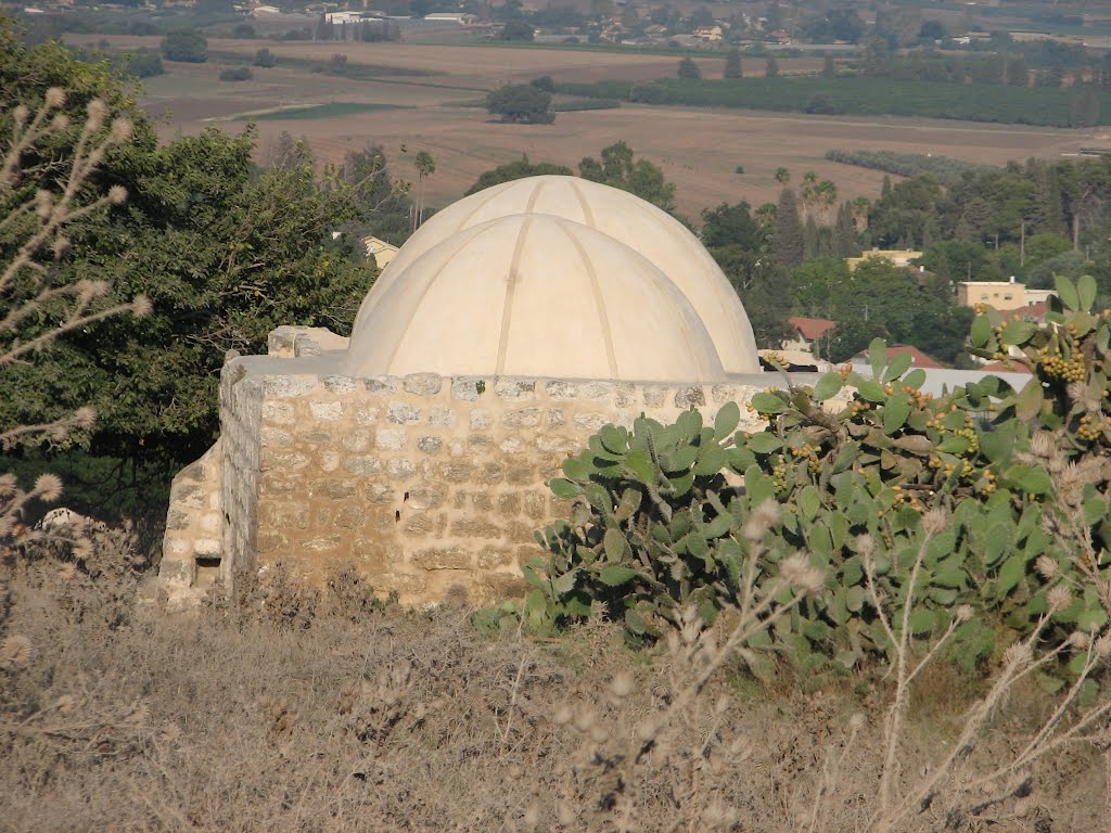 Shyah Abaryek, Israel