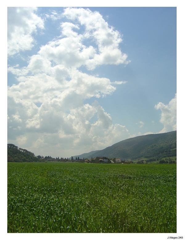 April fields outside of Shaar Haamakim