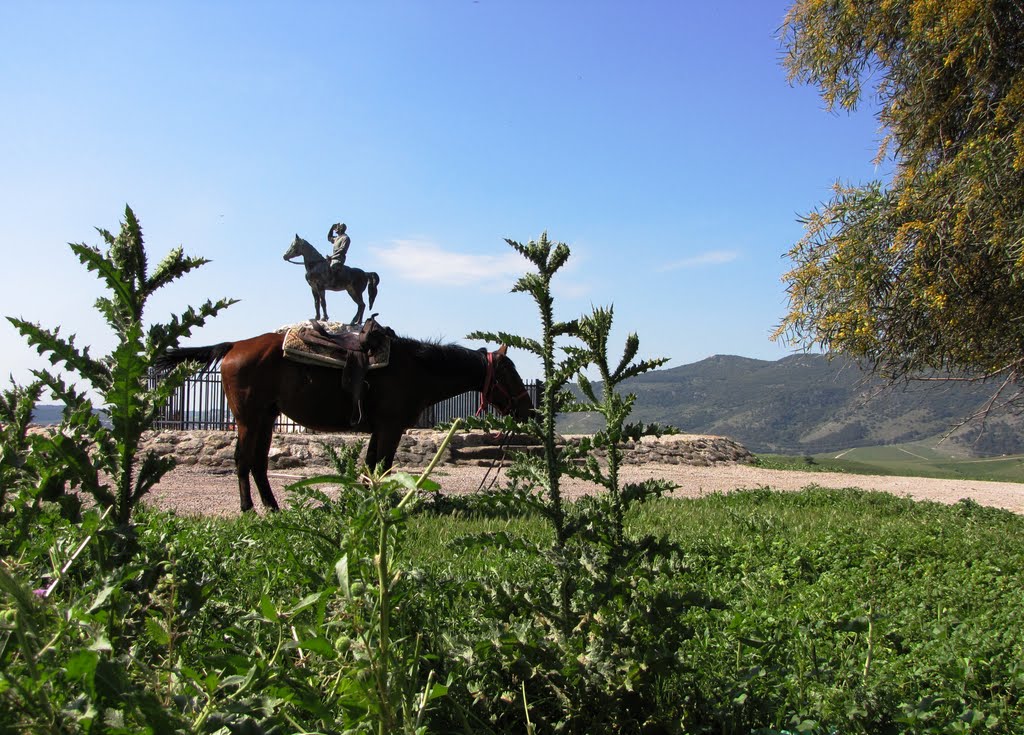 ALEXANDER ZEED TWO HORSES  אלכסנדר זייד על שני סוסים