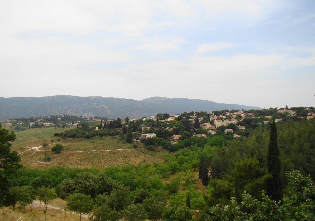 Israel. Kiryat Tivon