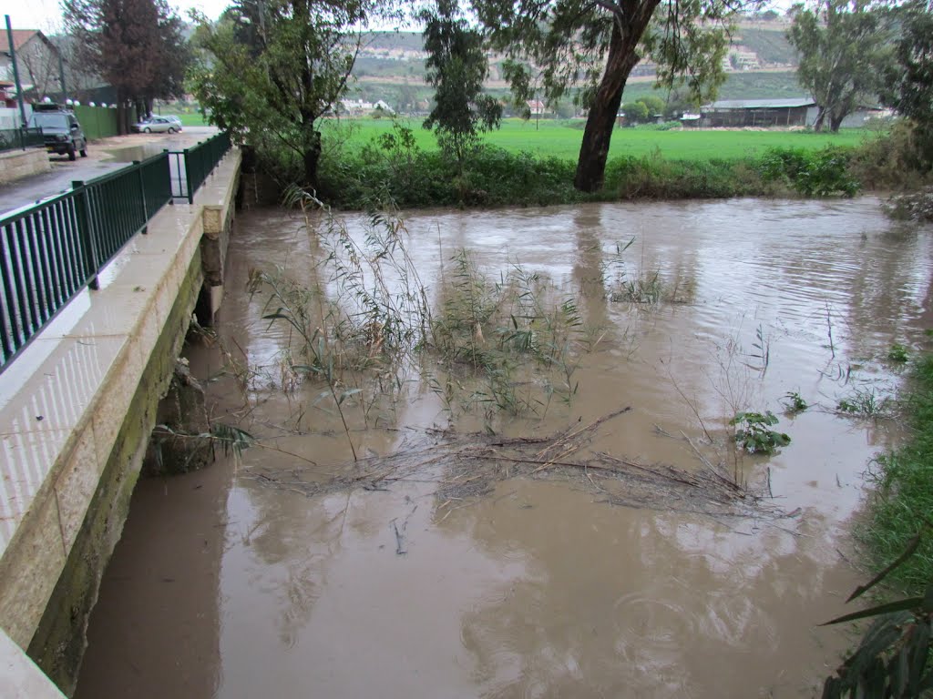 Nahal Kishon, a strong water flow after rains  2 , Israel