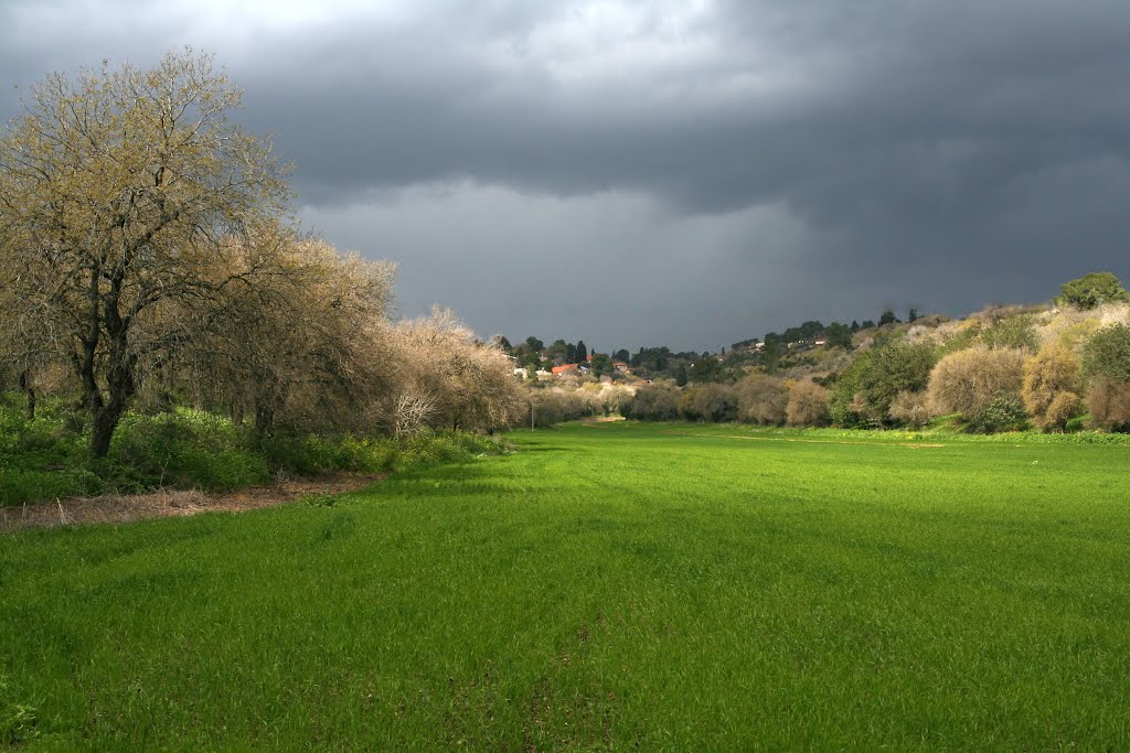 Kābūl