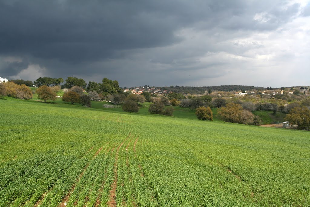 Kibuts Alonim, Storm clouds