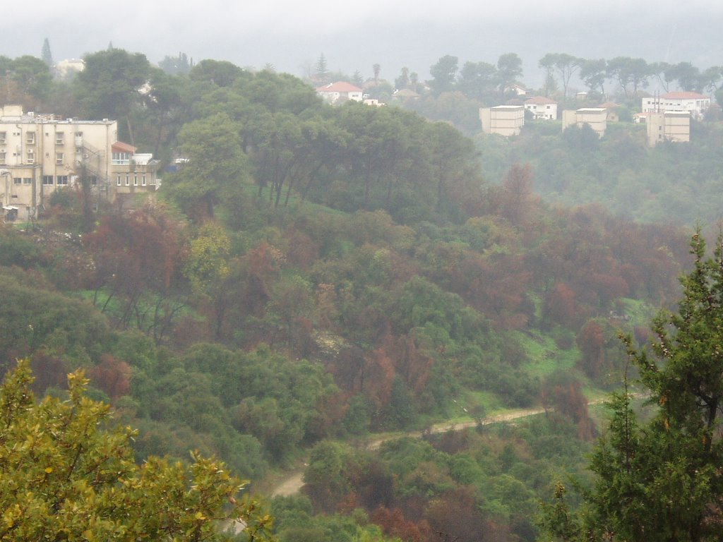 Kiryat Tivon
