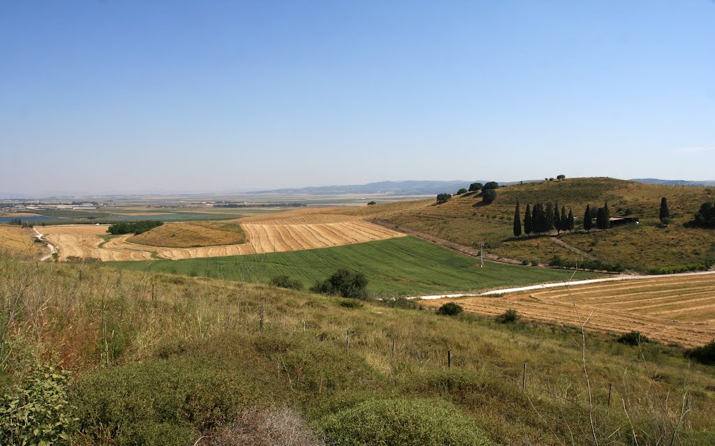 Fields, End of spring, Near Kfar Ha Tikva