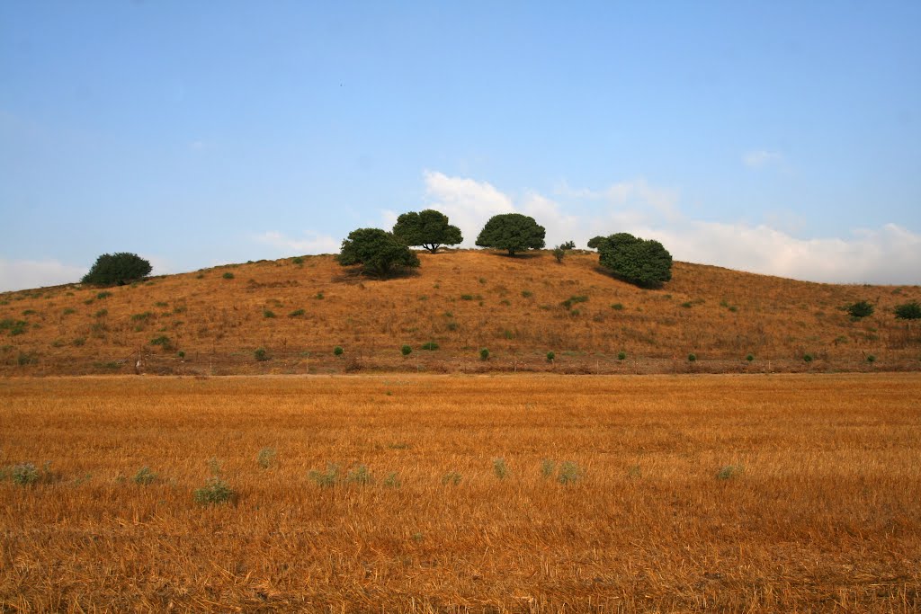 Binyamina-Giv'at Ada