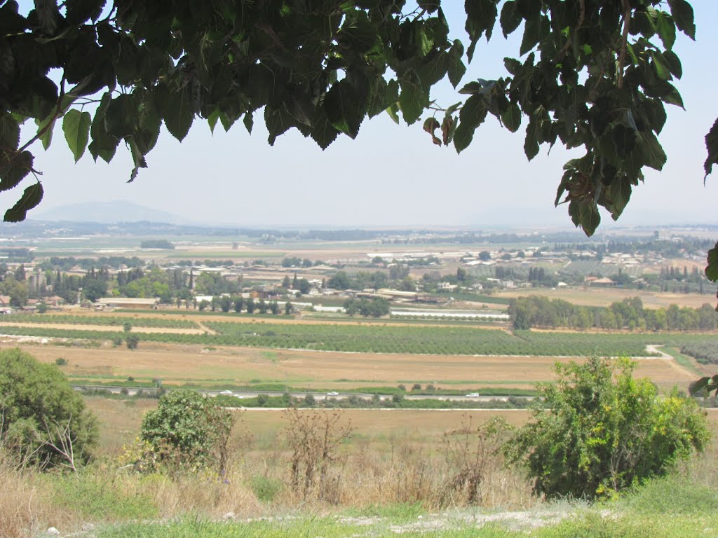 גבעת השומר אלכסנדר זייד, מבט אל עמק יזרעאל