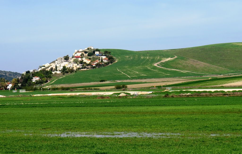 GREEN VILLAGE ON THE HILL