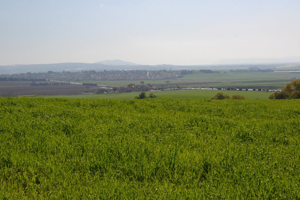 Kibutz Alonim road