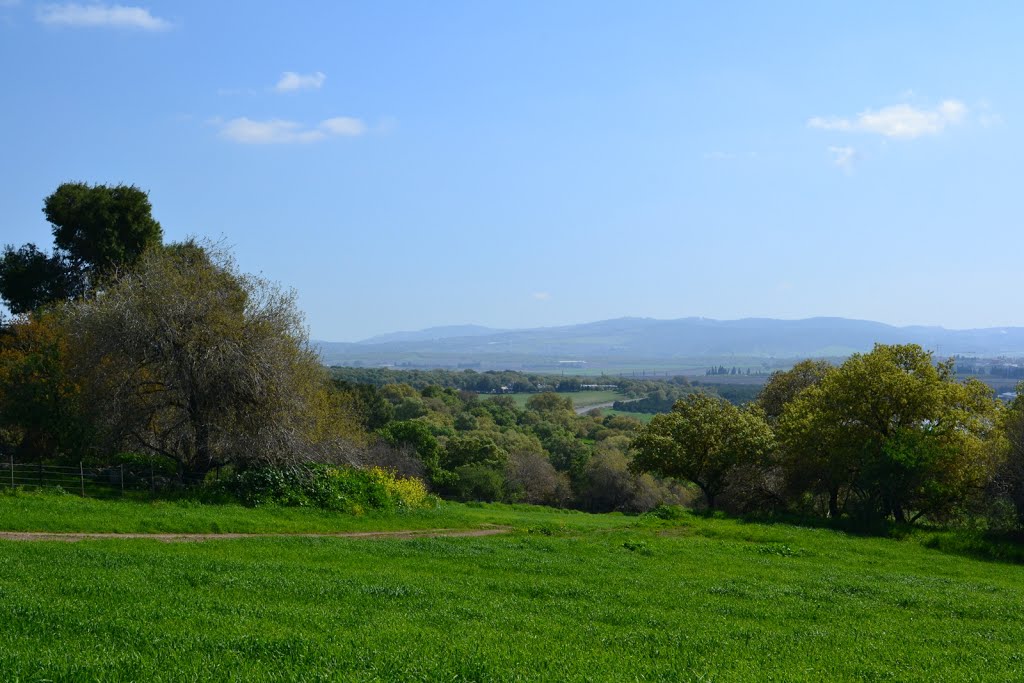 Kibutz Alonim road